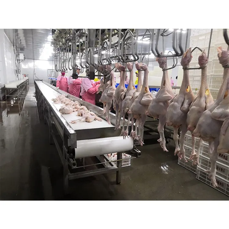 โรงงานจัดหาโดยตรงเครื่องจักรอุปกรณ์ฆ่าฮาลาลอัตโนมัติกระบวนการโรงฆ่าสัตว์สายการผลิตไก่