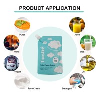 Sachets Doypack sur mesure en usine, diverses tailles, en PE de qualité alimentaire, impression héliogravure, recyclables, pour échantillons de soins de la peau et recharges de jus avec bec verseur
