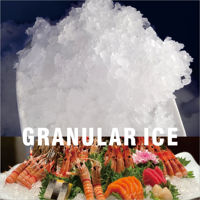 Machine à glace en flocons refroidie par air, 60 kg, machine à glace en flocons de qualité commerciale, certifiée ISO