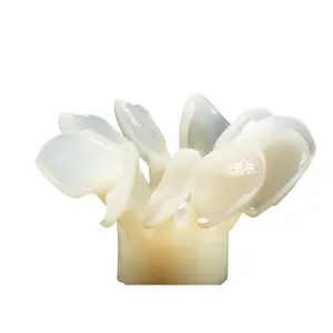 Aidite CAD/CAM Pressionando Sistema Vidro Cerâmica Blocos Imprensa Ingots Novos Materiais Restauradores Dentais Cerâmica Gloriosa