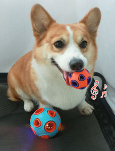 Toptan çevre dostu köpek eğitim oyuncak gıcırtılı kauçuk interaktif Pet oyuncak yıkılmaz ve Bite dayanıklı - Product Image 5