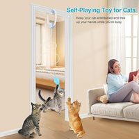 Jouet interactif électrique automatique à clipser sur porte pour chat, ruban classique anti-ennui pour chats adultes, chatons et chiens