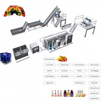 Turnkey project fabriek verkoop multifunctionele complete geconcentreerde semi-automatische fruit sap productielijn