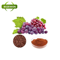 Extrait de pépins de raisin naturel pur à 95 % en poudre, proanthocyanidine, polyphénols, antioxydant, fourni par l'usine