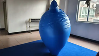 Combinaison gonflable en PVC personnalisée Beile à motif de bleuets, double couche, pour adultes, pour fêtes en plein air, jeux de jardin, modèle de jouet numérique imprimé pour adultes