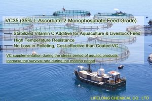 <span class=keywords><strong>L</strong></span>-Ascorbato-2-Fosfato Estable al 35% VC Fosfato para Aditivo de Alimento para Peces de Agua Dulce y Agua Salada - Product Image 6