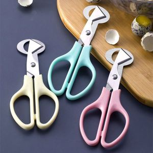 Cortador de Cáscaras de Huevo de Codorniz de Acero Inoxidable para Cocina - Product Image 2