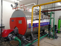 Chaudière industrielle à tubes de fumée WNS 3 passages, 400KW-700KW, à gaz naturel, pour eau chaude et vapeur, pour hôtels, carbone