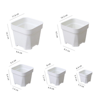 Macetas Cuadradas para Plántulas, Vasos de Plástico para Semillas, Macetas para Suculentas, Contenedores para Plantas de Jardín