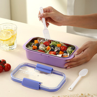Japanse stijl roestvrijstalen lunchboxen 500ml/600ml enkel/dubbel compartiment lekvrij bentobox met transparant deksel aangepaste logo