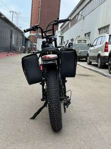 Vélo électrique Ridstar Mini 2025, moteur sans balais, batterie au lithium, pneus gras de montagne, vélo électrique tout-terrain, vélo électrique - Product Image 5