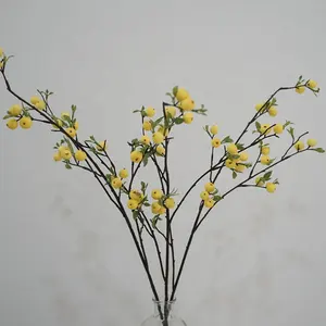 V438 작은 사과 미국 목가적 인 과일 장식 시뮬레이션 꽃 평화 의미 베리 홈 가구 사진 소품