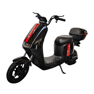 Vélo Électrique Urbain pour Adultes 1000W 20 Pouces / Moteur Central 48V Haute Puissance Économique avec Moteur Électronique et Commande de Vitesse - Product Image 6