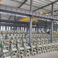 Vente directe d'usine : presses à poinçonner métalliques à grande vitesse pour le découpage de métaux