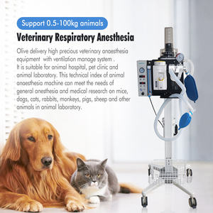 Mesin Anestesi Kedokteran Gigi Otomatis Portabel, Mesin Anestesi Hewan Kecil Ventilasi Anestesi Dokter Hewan untuk Semua Hewan - Product Image 2