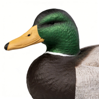 Juego de Señuelos de Pato Mallard de Plástico Ligero al por Mayor, Cebo Flotante para Caza, Adorno de Jardín, Señuelo de Aves Acuáticas Impermeable