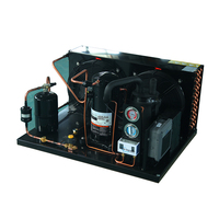 Unidad enfriadora para contenedor Reefer, condensador refrigerado por aire, evaporador de habitación fría