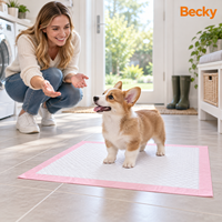 Tapis d'entraînement jetables pour chiots, personnalisés, très absorbants, anti-fuites, séchage rapide, doux, non tissés, pour la maison, la cage et les voyages