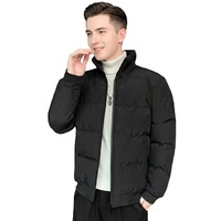 Veste matelassée courte à capuche pour homme, personnalisable OEM, imperméable, coupe-vent, chaude, rembourrage en polyester, manteau d'hiver pour l'extérieur