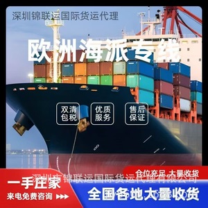 Línea de Transporte Marítimo Europea, Polvo de Pollo Especiado, Envío a España, Doble Despacho de Aduanas, Impuestos Incluidos, LCL Express desde China - Product Image 1