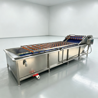 Ozonsterilisatie luchtbel fruit- en groentewasmachine voor tomaten- en visverwerking