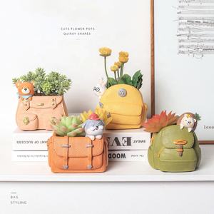 Vente chaude coloré créatif dessin animé sac à dos succulent maison bureau balcon décoration petit <span class=keywords><strong>Pot</strong></span> de fleur pour fournitures de jardin - Product Image 2