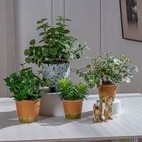 Plantes artificielles en pot réalistes, écologiques et durables, petites fausses plantes vertes en mini-pots pour la décoration de la maison, du salon et de la table