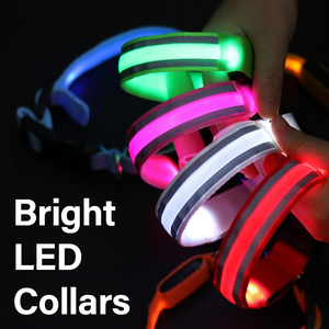 ปลอกคอสุนัขแบบเรืองแสง LED ชาร์จไฟผ่าน USB ดีไซน์เรียบง่ายทันสมัย ผลิตจากไนลอนกันน้ำ เพื่อความปลอดภัยสำหรับสัตว์เลี้ยงในเวลากลางคืน - Product Image 4