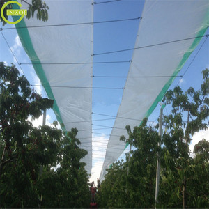 Bâche transparente en PE tissée à chaud, bâche <span class=keywords><strong>pour</strong></span> <span class=keywords><strong>serre</strong></span>, livraison gratuite - Product Image 5