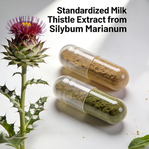 Капсулы с расторопшей (1000 мг) для поддержки здоровья печени и детоксикации, OEM-производство - Product Image 2