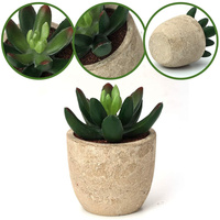 Plantes succulentes artificielles en pot, assorties de fausses plantes succulentes décoratives en pot de faux cactus avec des pots