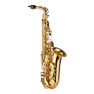 AS100 Eb Alto Saxophone Brass Lacquered Alto Sax Wind Instrument with Carry Case Gloves Straps Cleaning Cloth Brush