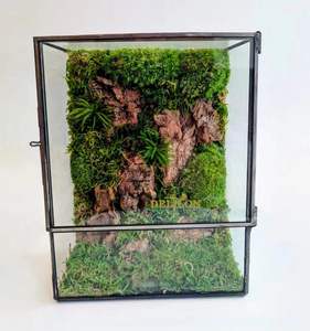 Kit per Terrari di Muschio Stabilizzato, Terrario per Piante Aeree, Terrario Geometrico in Vetro per Piante da Interno con Muschio Naturale - Product Image 4