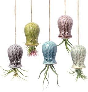 Pot de jardinière d'intérieur multi-usage en <span class=keywords><strong>céramique</strong></span>, <span class=keywords><strong>Vase</strong></span> à fleurs et récipient pour plantes à Air, idéal pour les fleurs succulentes Cactus, nouvel article - Product Image 2