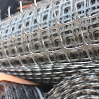 Protection de la ferme en plastique Clôture de jardin Étang Clôture de sécurité Chat Pet Poulet Canards Elevage Net Geogrid