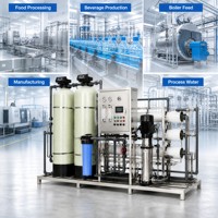 Système de purification d'eau RO industriel monté sur châssis de 1000 LPH pour l'eau de processus d'usine