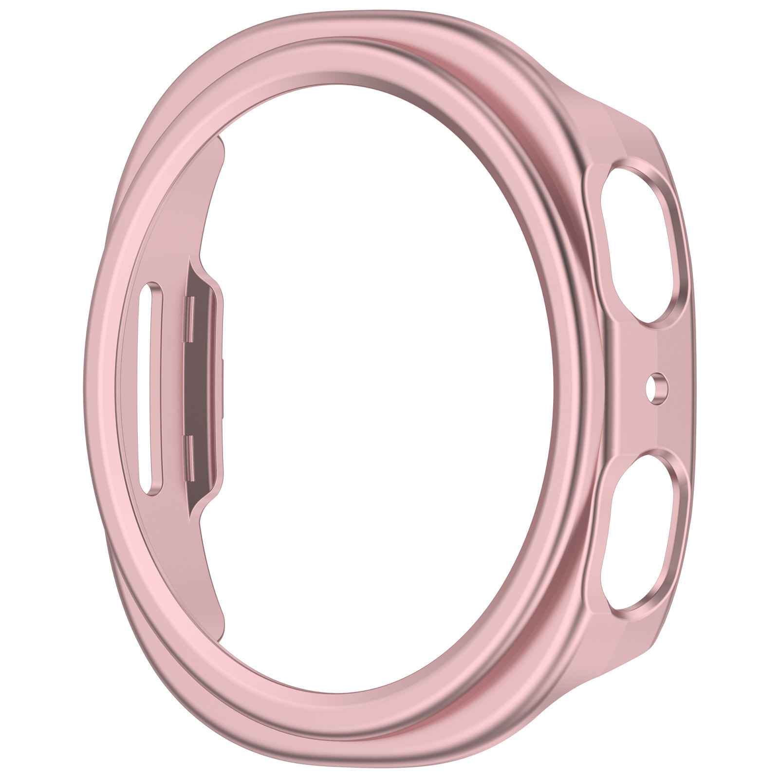 กุหลาบสีชมพู