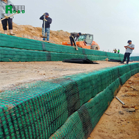 Geomalla Biaxial de Poliéster Soldada para Protección de Taludes, Caminos de Entrada, Muros de Contención, Construcción de Carreteras y Pavimentos