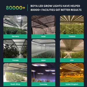 LM301H Evo 1200W <strong>Led</strong> Grow Lights UV IR Separate Control LM301B 1000W 1500W Vertical Farming Customize <strong>Plant</strong> Grow <strong>Led</strong> Light Bar - Product Image 3