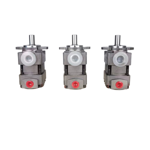 ปั๊มไฮดรอลิกเกียร์เสียงเบา QX32-010R QX32-012/32-012R QX32-012R09 สำหรับอุปกรณ์ฉีดพลาสติก QX22 QX32 QX42 QX52 QX62 - Product Image 3