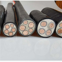 Venta Directa de Fábrica, Cable de Alimentación Blindado YJV22 0.6/1kV 450+125mm², 10~400mm² Opcional, Estándar IEC, para Subestaciones