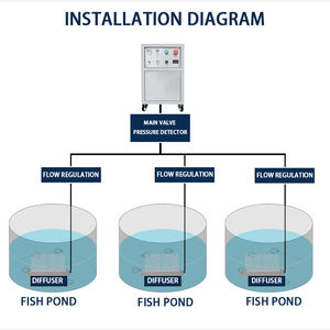効率的な5L 10L <span class=keywords><strong>15L</strong></span> 20L養殖用酸素発生器,フィッシュファームナノ酸素エアレーター酸素濃縮器 - Product Image 3