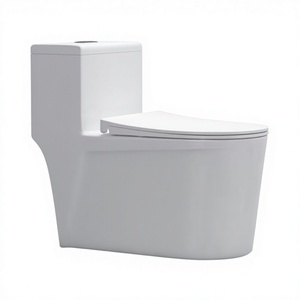 โถสุขภัณฑ์เซรามิคแบบชิ้นเดียว ระบบกดน้ำสองปุ่ม สำหรับใช้ในบ้าน - Product Image 1