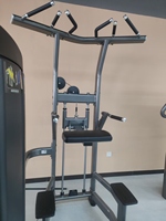 Máquina de Dominadas Asistidas Comercial SF90 008 con Selector para Gimnasio
