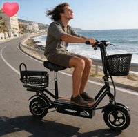 Trottinettes électriques en stock d'usine, vélos électriques puissants pour adultes, vélos de ville électriques, vélos électriques 10 pouces pour adultes, trottinettes électriques