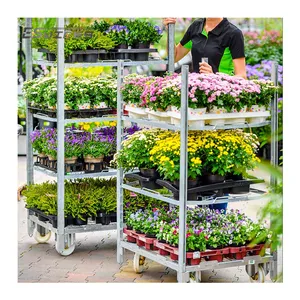 Carrello elettrico galvanizzato del fiore del giardino della scuola materna della pianta danese della serra con gli scaffali della rete metallica