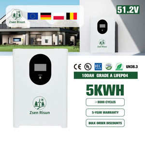 딥 사이클 8000회, 16S 100A BMS, 51.2V 5kWh 태양광 리튬이온 에너지 저장 배터리 팩, 48V 100Ah LiFePO4 배터리 - Product Image 1