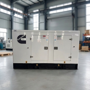 Grupo Electrógeno a Gas con Motor Cummins 6BTAA, 100KVA, 120KVA, 150KVA, Silencioso, GLP, para Uso Diario, Motor HSD-80CB, Marcas de Motores Múltiples - Product Image 2
