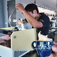 Machine à glace MILES Milano V1, modèle de table, en acier inoxydable, avec options fruits et lait, garantie 2 ans, mini machine à gelato