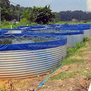 <span class=keywords><strong>Bassin</strong></span> d'élevage de tilapias SDM pour pisciculture, cuve hors-sol en bâche pour l'élevage de poissons - Product Image 1